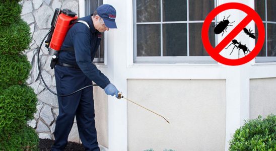 Emet Hamam Böceği İlaçlama böcek ilaçlama ve haşere kontrolü — ilaclama-tr.com